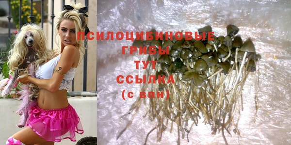 кристаллы Козловка