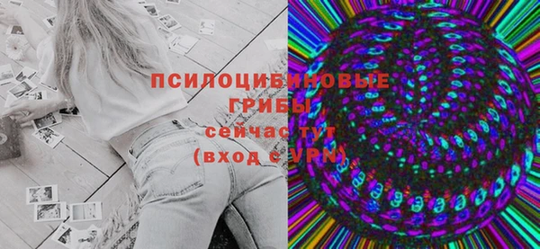 прущие крисы Кодинск