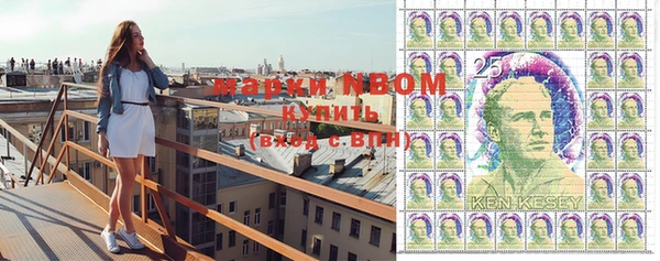 PSILOCYBIN Кинешма