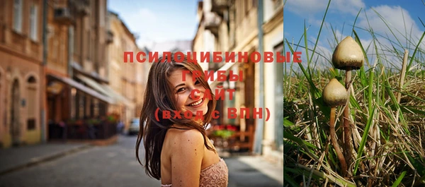 кристаллы Козловка