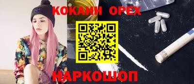 СК Конаково