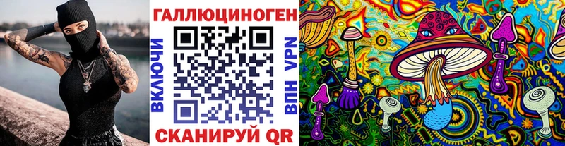 где можно купить   Михайловка  Псилоцибиновые грибы Psilocybine cubensis 
