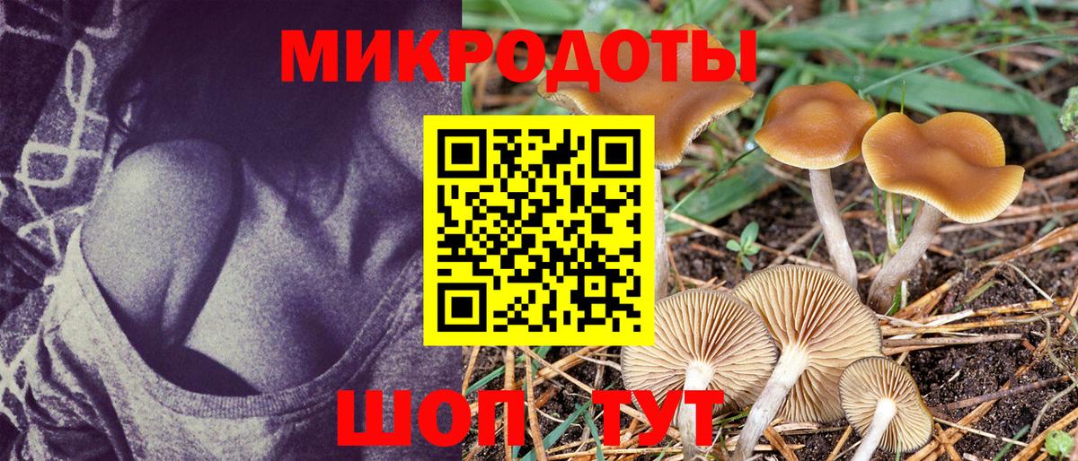 Михайловка  Псилоцибиновые грибы ЛСД  Галлюциногенные грибы MAGIC MUSHROOMS  Вход с VPN 